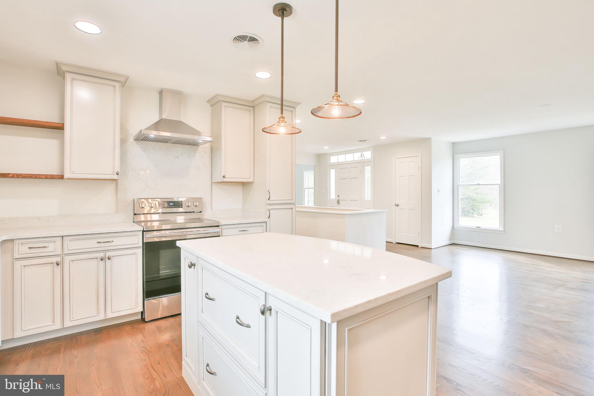 1356 Pierce Road Berryville, VA 22611 - Photo 7 of 45 Exceptionally detailed kicthen