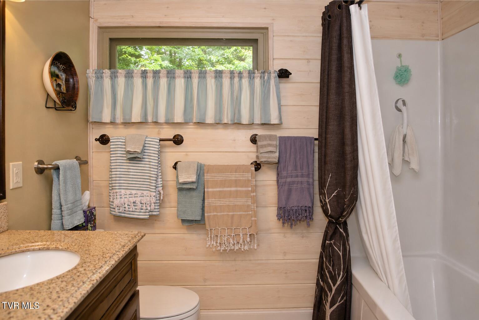 282 Ripshin Lake Road Roan Mountain, TN 37687 - Photo 59 of 72 Bathroom 3.1