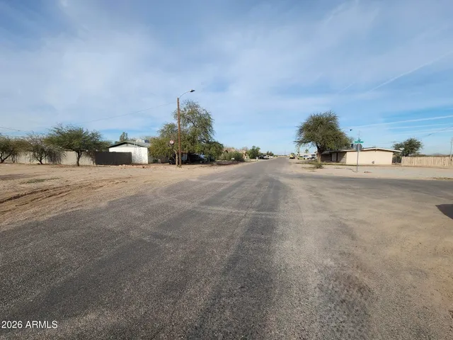 a view of a dry yard with plants and trees