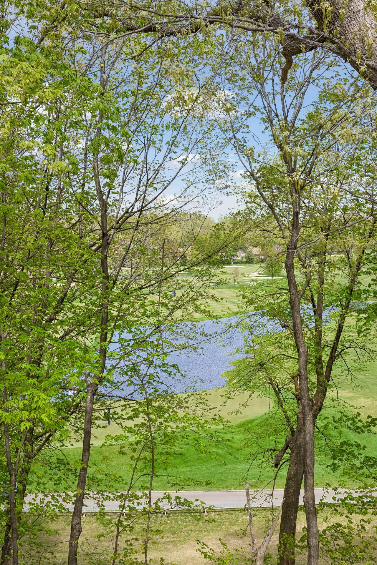 10752 Mt Curve Road Eden Prairie, MN 55347 - Photo 45 of 48