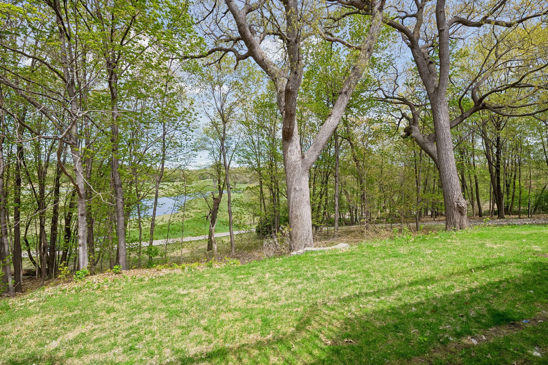 10752 Mt Curve Road Eden Prairie, MN 55347 - Photo 47 of 48