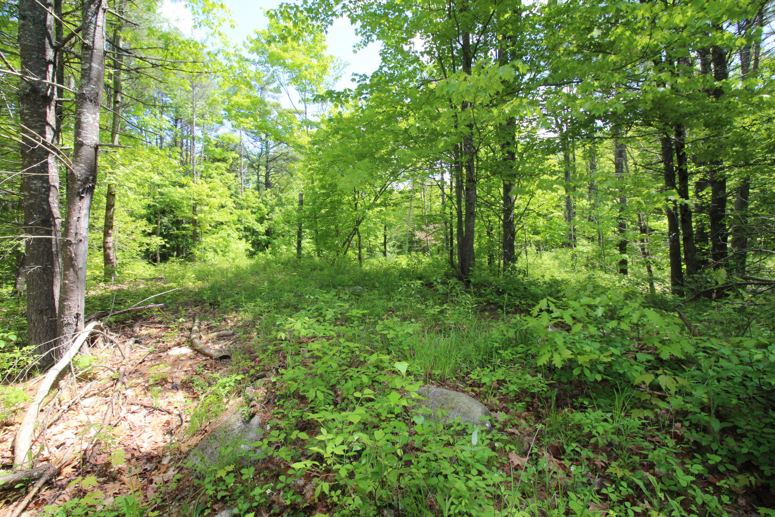 0 Edwards/mountain Road Casco, ME 04015 - Photo 2 of 18 IMG_0363