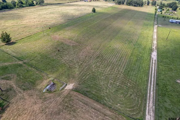 a view of outdoor space with trees all around