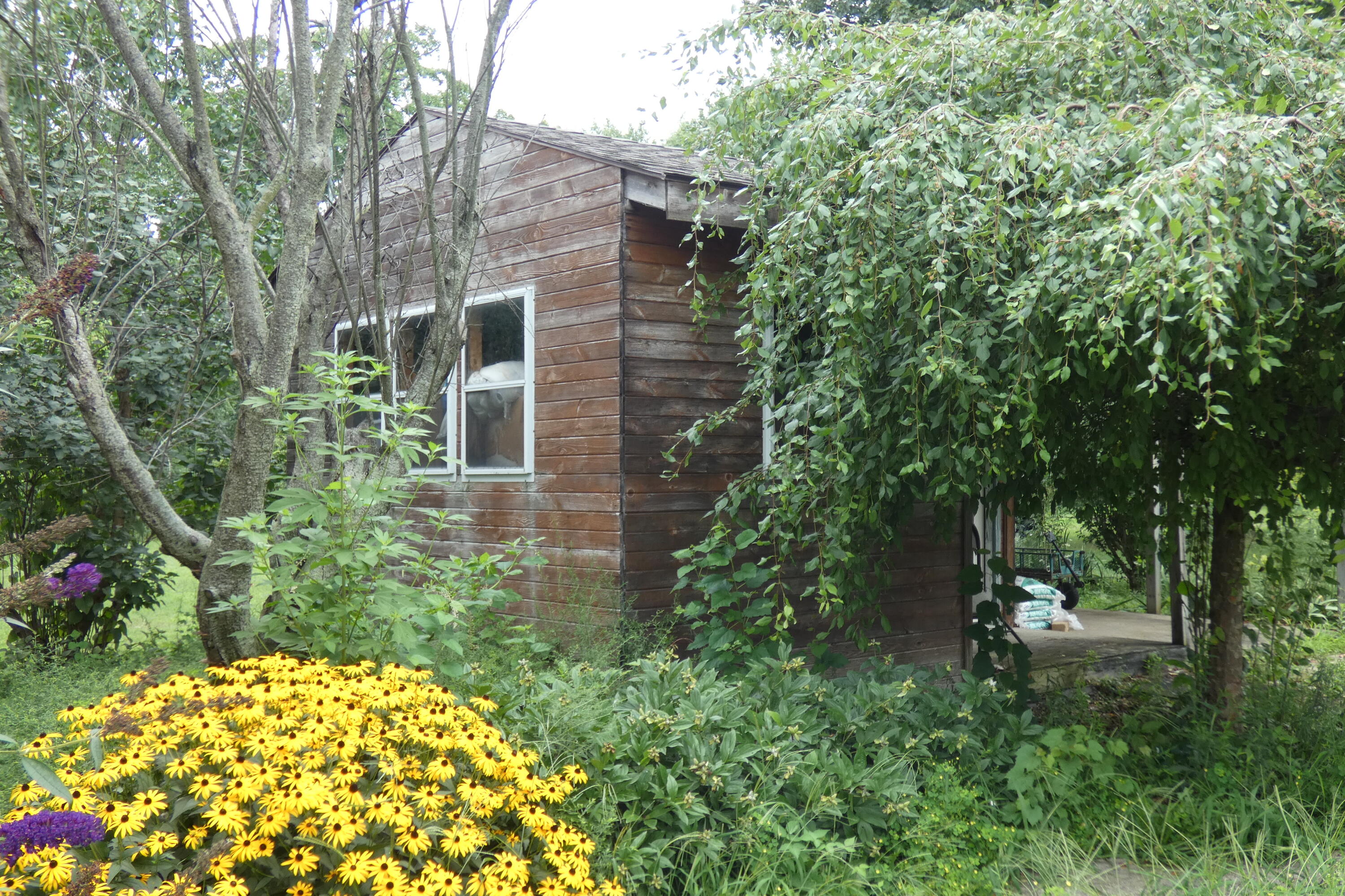 6290 Bailey Road Eau Claire, MI 49111 - Photo 42 of 48 P1010507