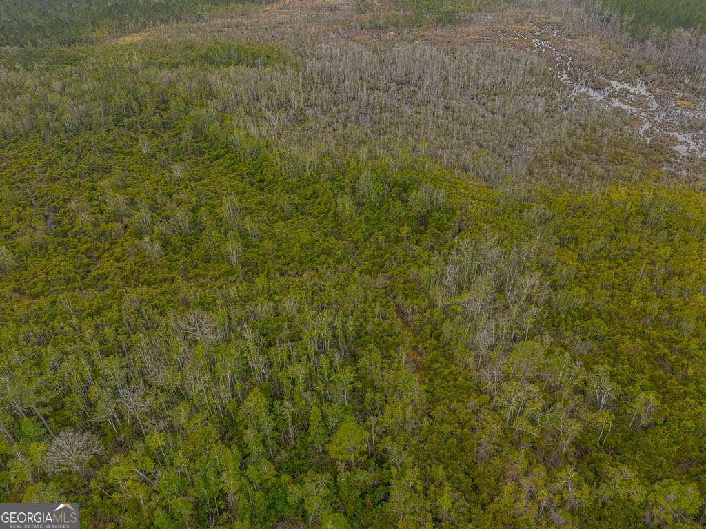 569 Liberty Road Hortense, GA 31543 - Photo 36 of 40