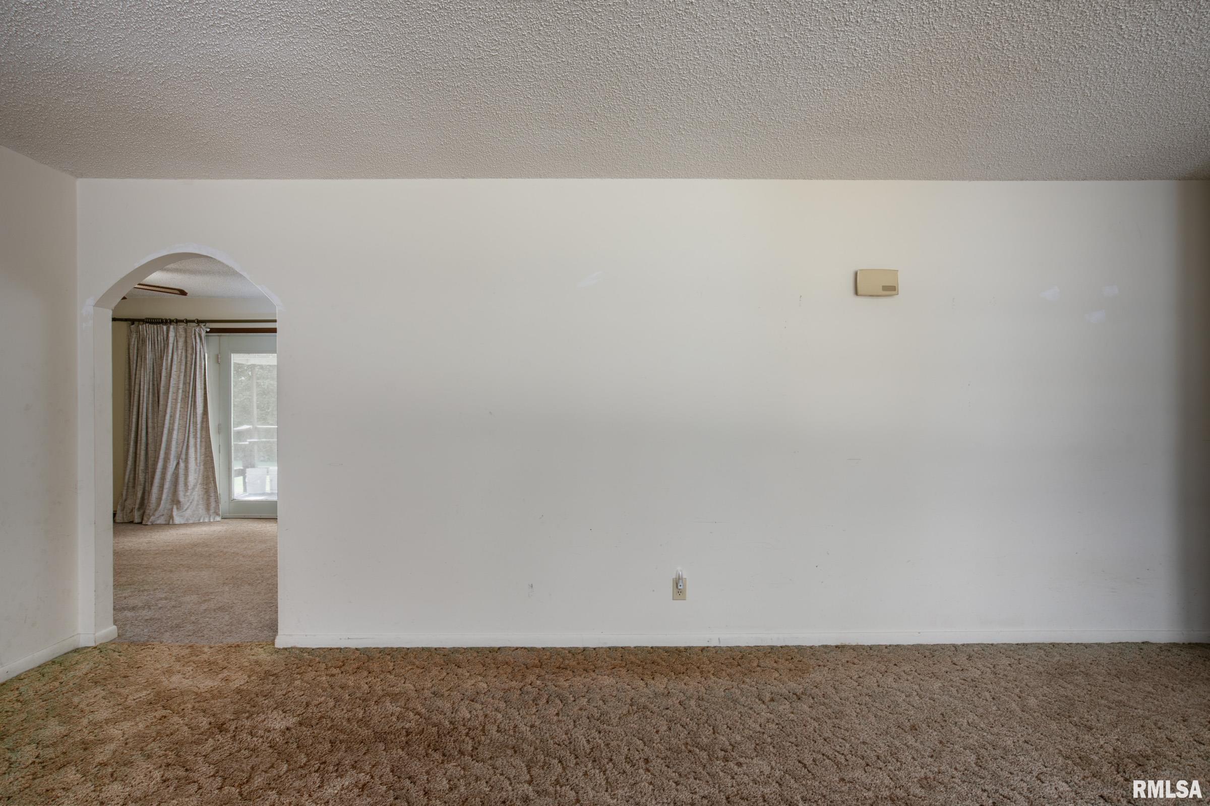 17209 Canaville Road Creal Springs, IL 62922 - Photo 6 of 35