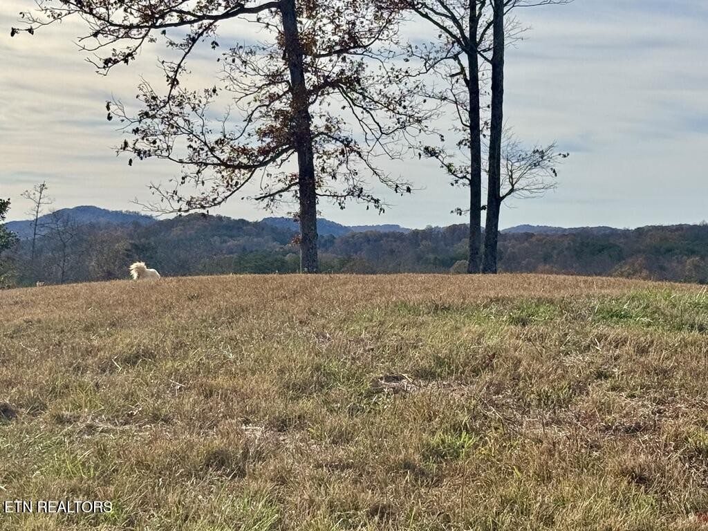 2 Three Point Road Vonore, TN 37885 - Photo 2 of 13 Gallery Image 2