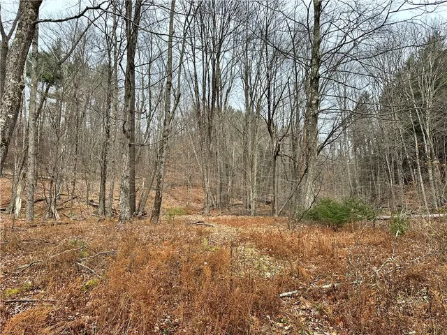 $399,900 | 0 Apex Road, Hancock, NY 13783