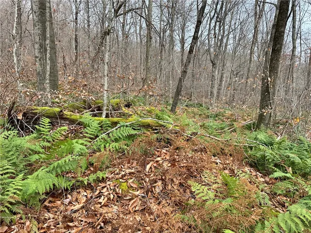 $399,900 | 0 Apex Road, Hancock, NY 13783