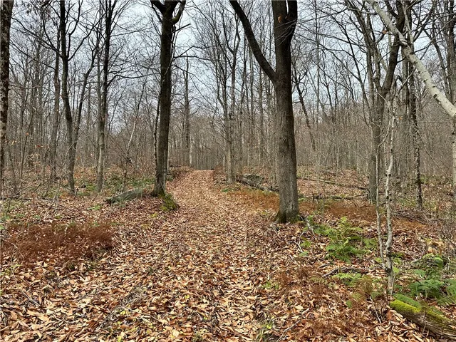 $399,900 | 0 Apex Road, Hancock, NY 13783