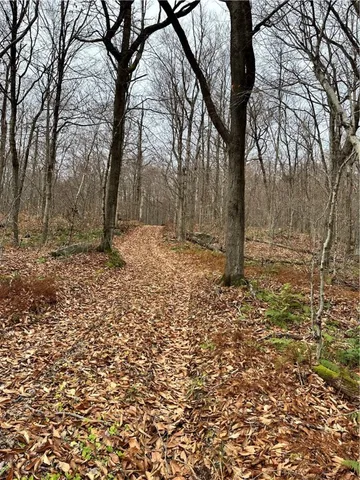 $399,900 | 0 Apex Road, Hancock, NY 13783