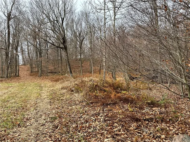 $399,900 | 0 Apex Road, Hancock, NY 13783