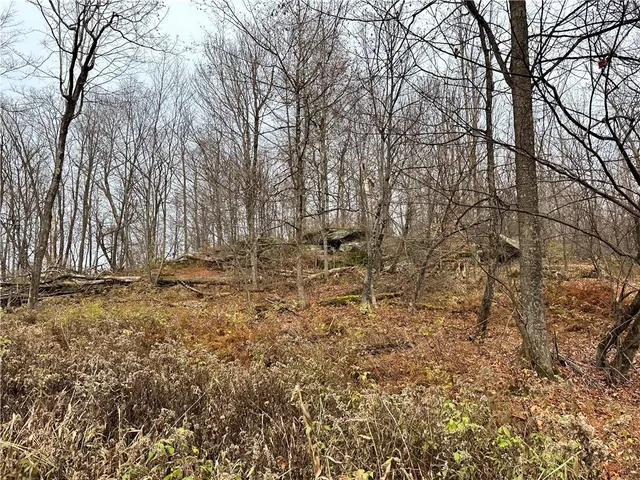 $399,900 | 0 Apex Road, Hancock, NY 13783