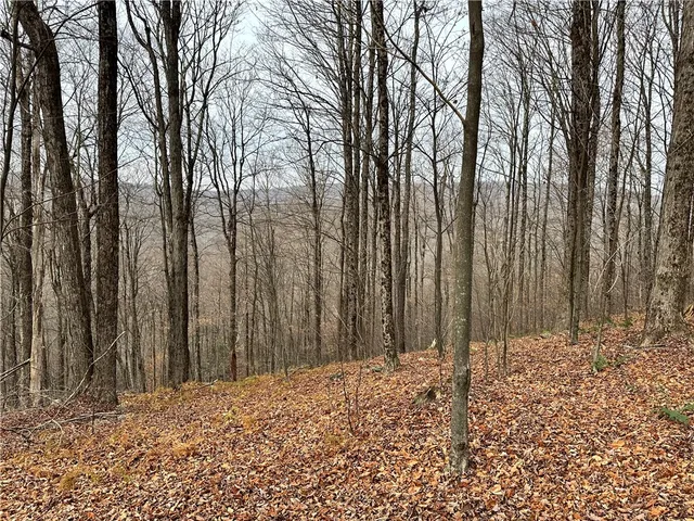 $399,900 | 0 Apex Road, Hancock, NY 13783