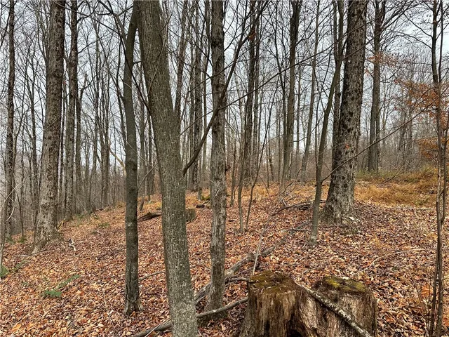 $399,900 | 0 Apex Road, Hancock, NY 13783