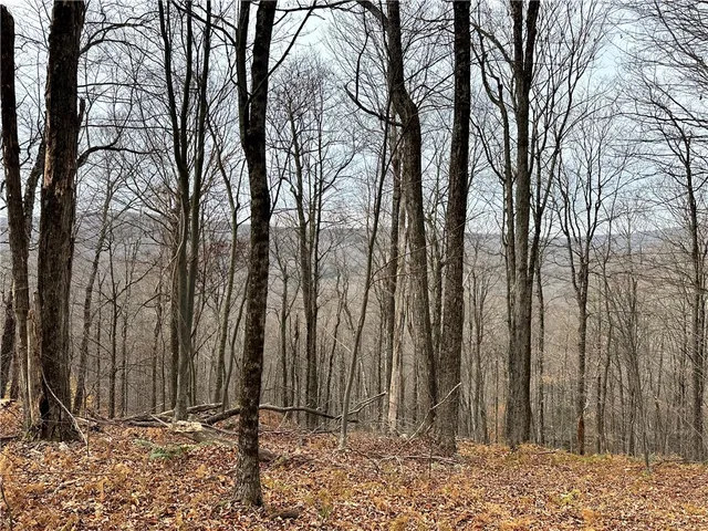 $399,900 | 0 Apex Road, Hancock, NY 13783