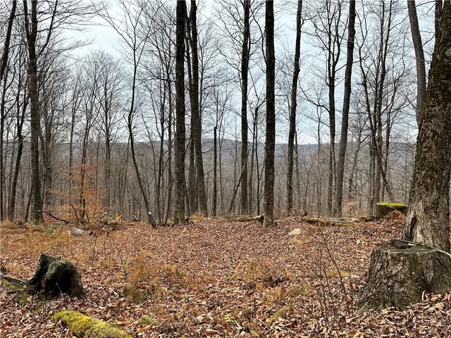 $399,900 | 0 Apex Road, Hancock, NY 13783