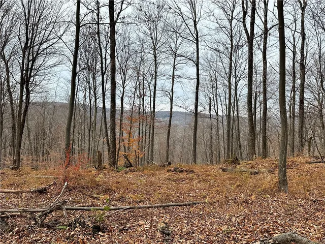 $399,900 | 0 Apex Road, Hancock, NY 13783