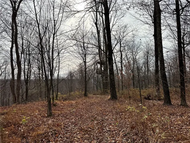 $399,900 | 0 Apex Road, Hancock, NY 13783