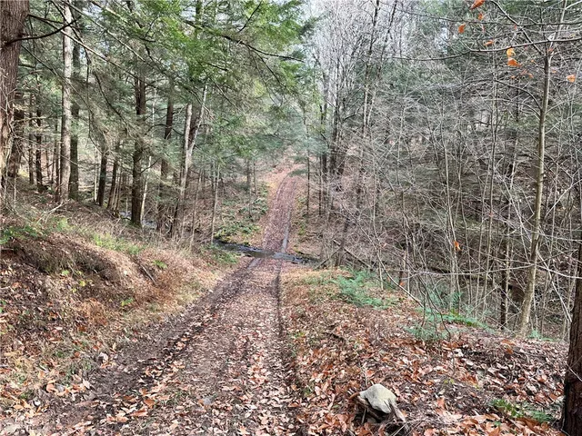 $399,900 | 0 Apex Road, Hancock, NY 13783