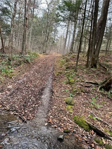 $399,900 | 0 Apex Road, Hancock, NY 13783