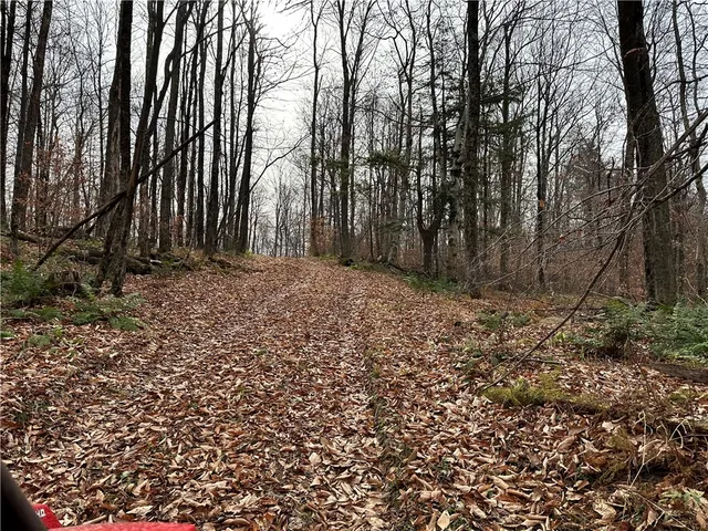 $399,900 | 0 Apex Road, Hancock, NY 13783