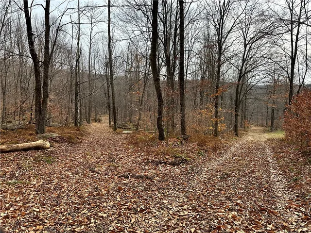 $399,900 | 0 Apex Road, Hancock, NY 13783