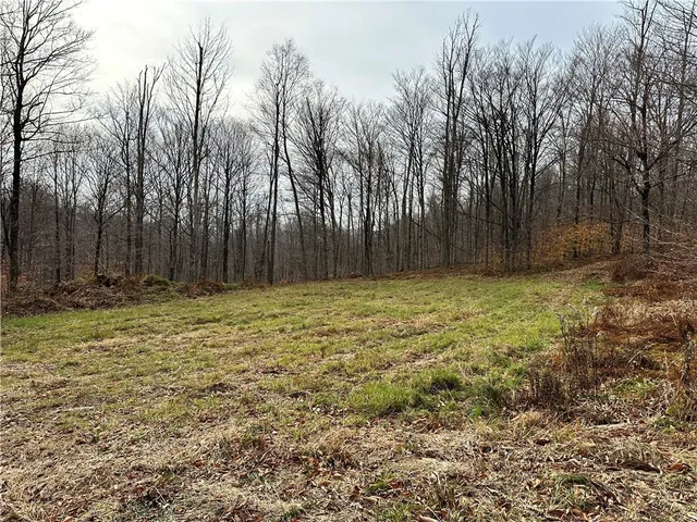 $399,900 | 0 Apex Road, Hancock, NY 13783