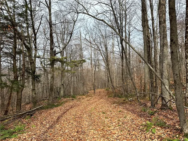 $399,900 | 0 Apex Road, Hancock, NY 13783