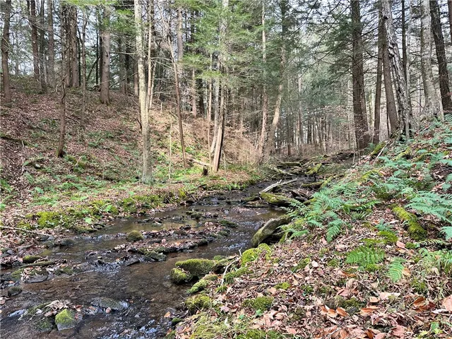 $399,900 | 0 Apex Road, Hancock, NY 13783