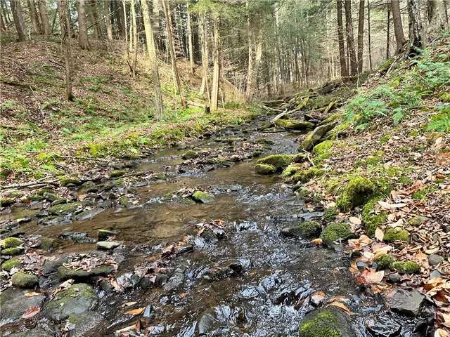 $399,900 | 0 Apex Road, Hancock, NY 13783