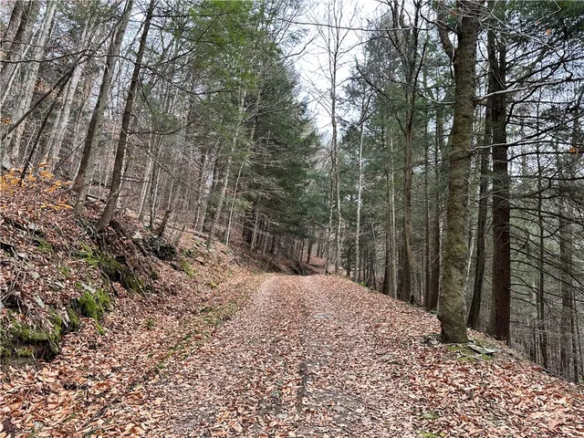 $399,900 | 0 Apex Road, Hancock, NY 13783