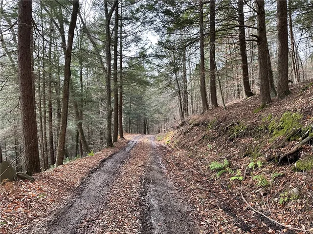 $399,900 | 0 Apex Road, Hancock, NY 13783