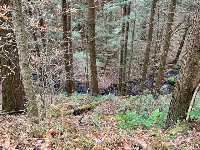 $399,900 | 0 Apex Road, Hancock, NY 13783