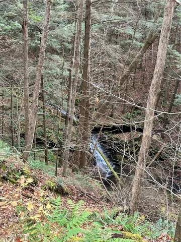 $399,900 | 0 Apex Road, Hancock, NY 13783