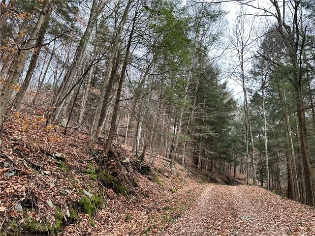 $399,900 | 0 Apex Road, Hancock, NY 13783