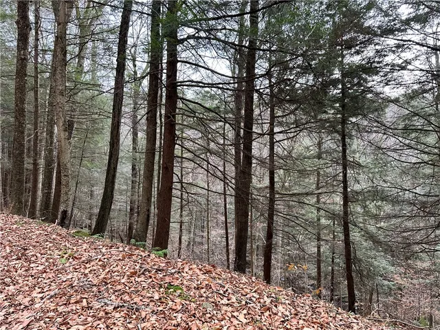 $399,900 | 0 Apex Road, Hancock, NY 13783