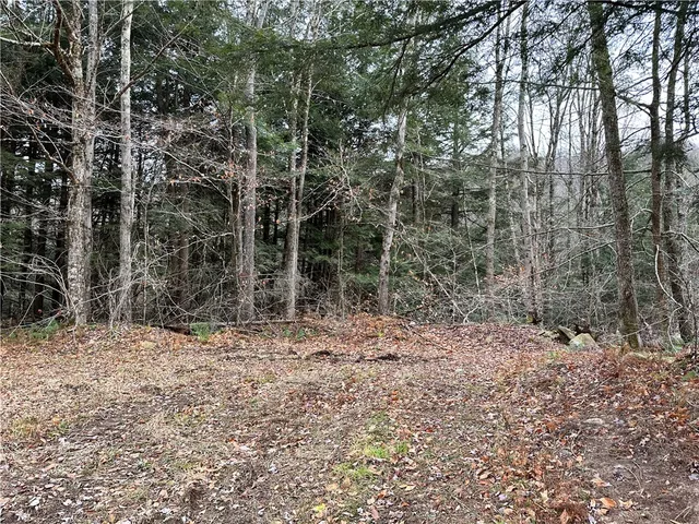 $399,900 | 0 Apex Road, Hancock, NY 13783