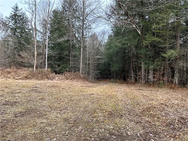 $399,900 | 0 Apex Road, Hancock, NY 13783