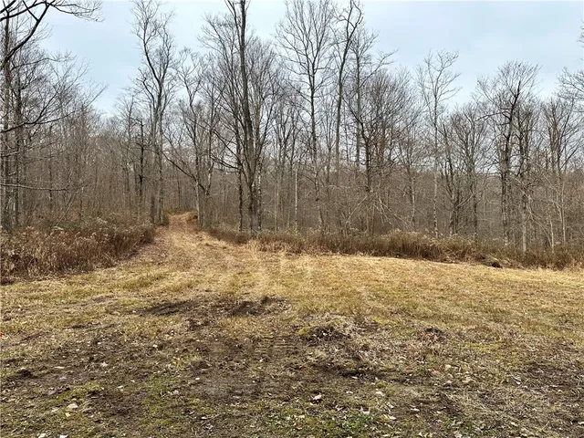 $399,900 | 0 Apex Road, Hancock, NY 13783