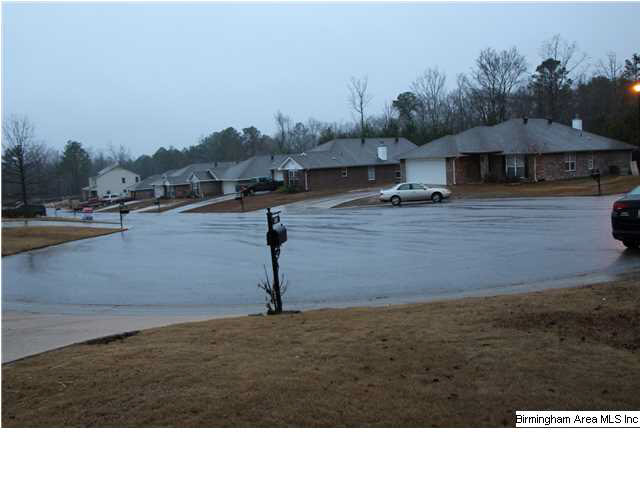 100 Ivy Trace Calera, AL 35040 - Photo 24 of 26