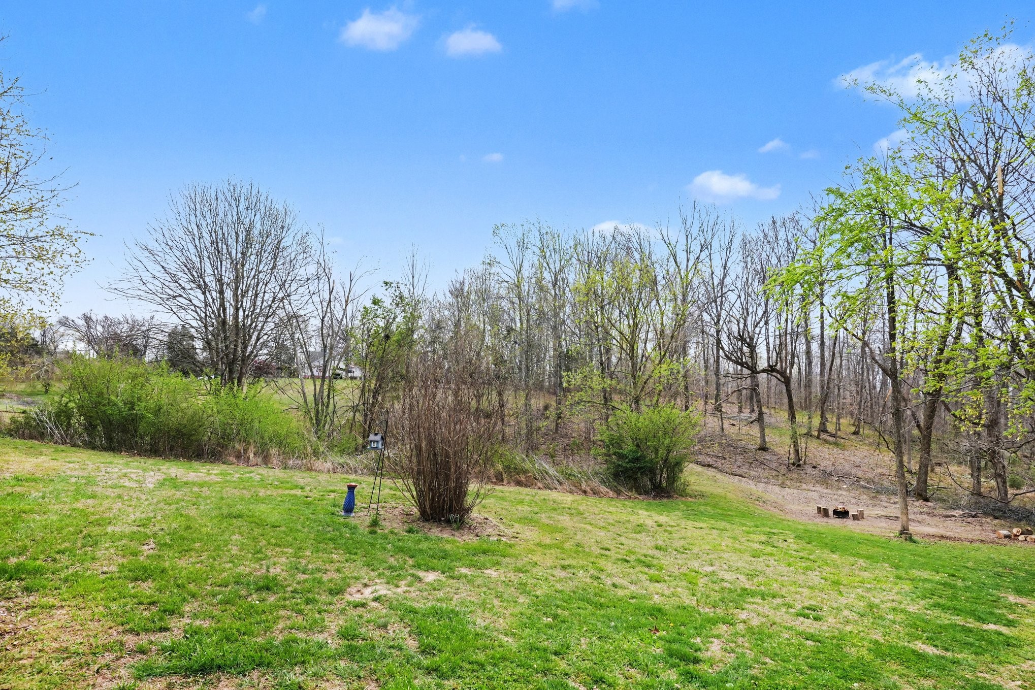 550 Gregory Road Westmoreland, TN 37186 - Photo 21 of 26 a view of a yard with a tree