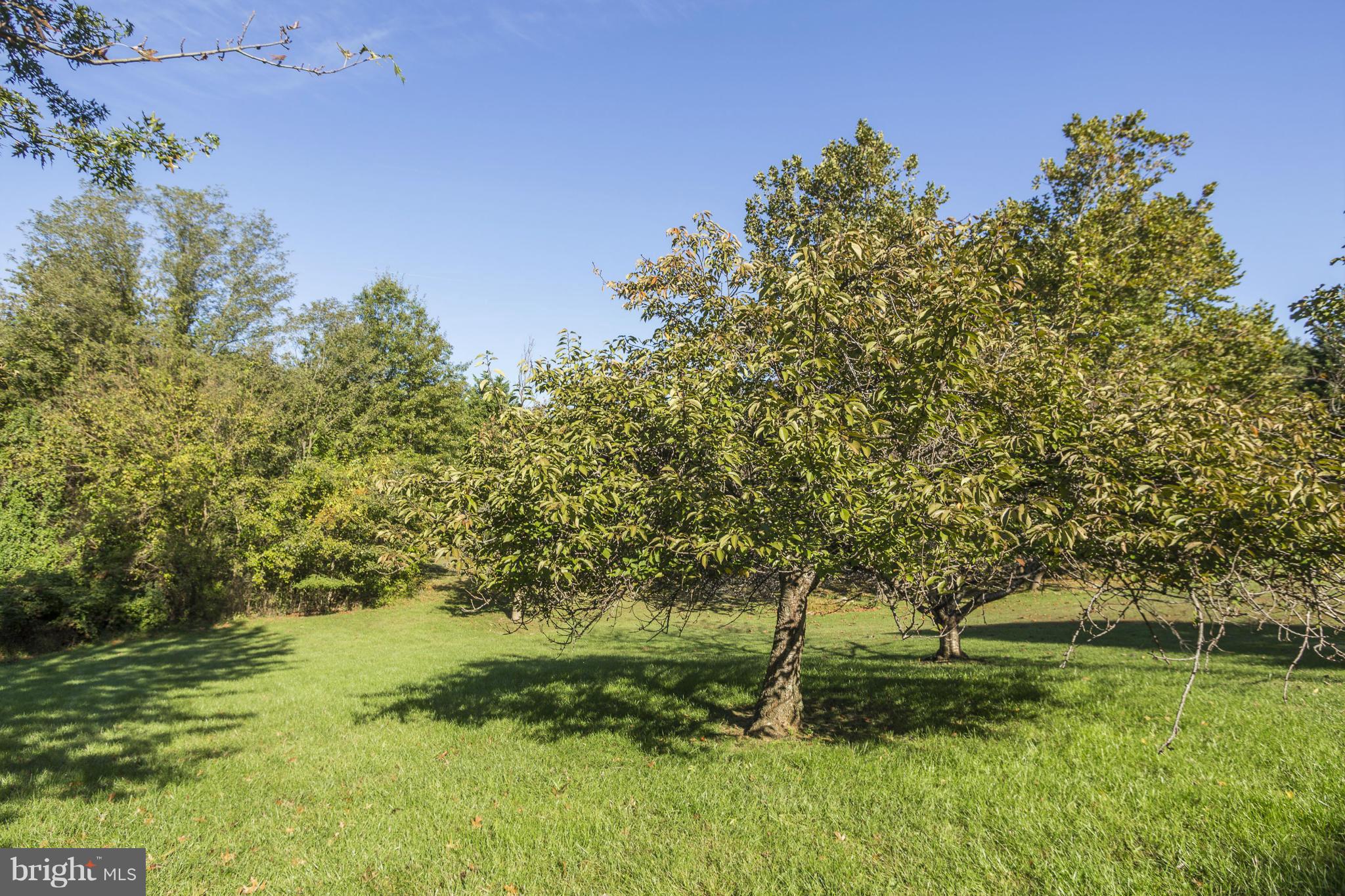 8837 Herons Flight Laurel, MD 20723 - Photo 28 of 29 a view of a park with large trees