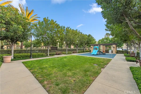 a view of a park with plants and trees