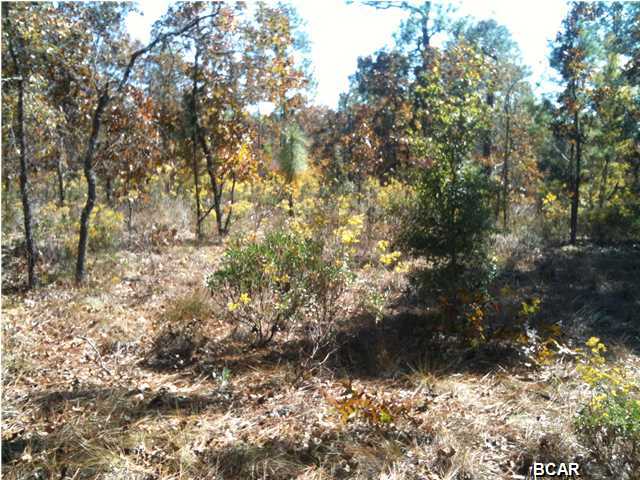 48 Grassy Pond Road Chipley, FL 32428 - Photo 9 of 9