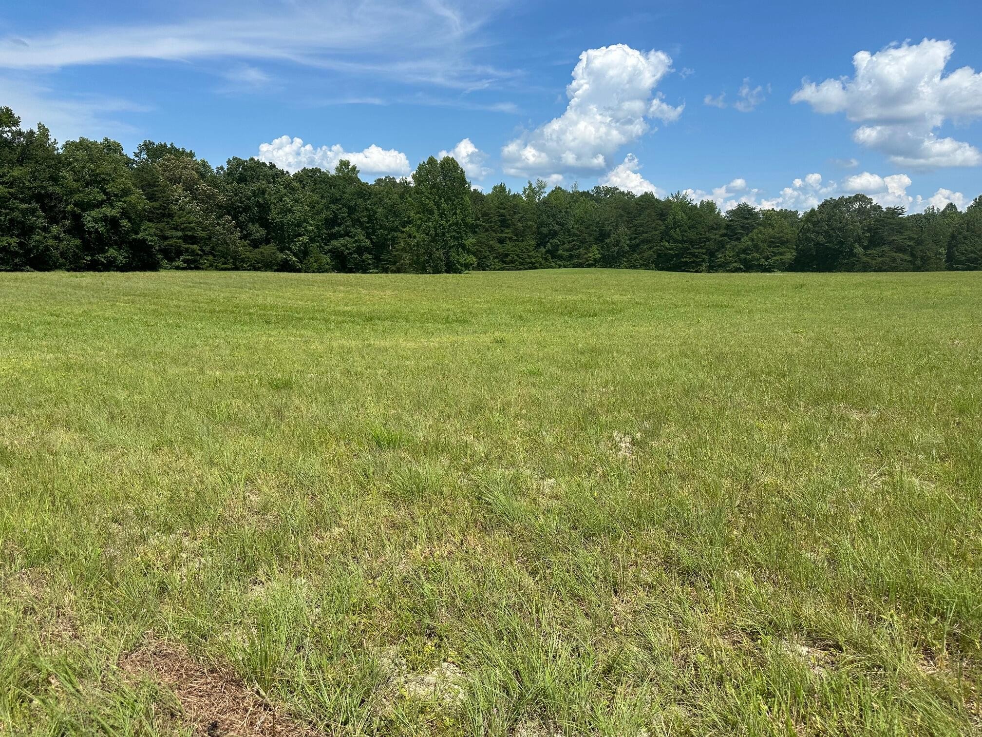 18 McCabe Road Spring City, TN 37381 - Photo 9 of 16