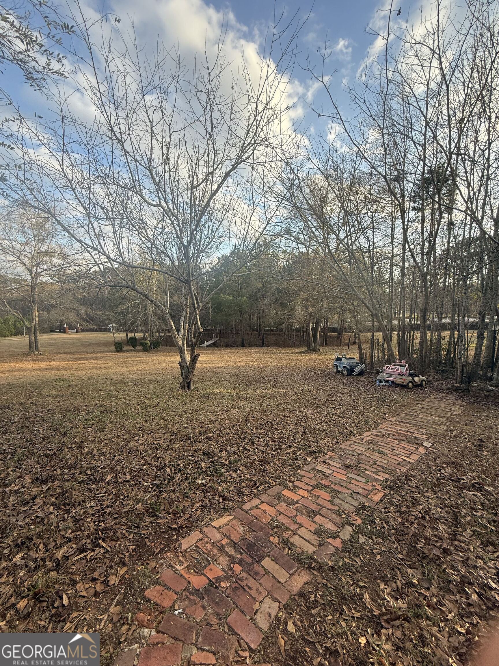 3861 Newnan Road Griffin, GA 30223 - Photo 84 of 89 a view of dirt field with large trees