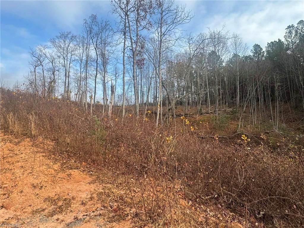 Tbd Old Railroad Grade Road Thurmond, NC 28683 - Photo 22 of 26