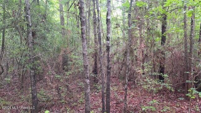 1048 Williamson Road Wesson, MS 39191 - Photo 10 of 11 land 01