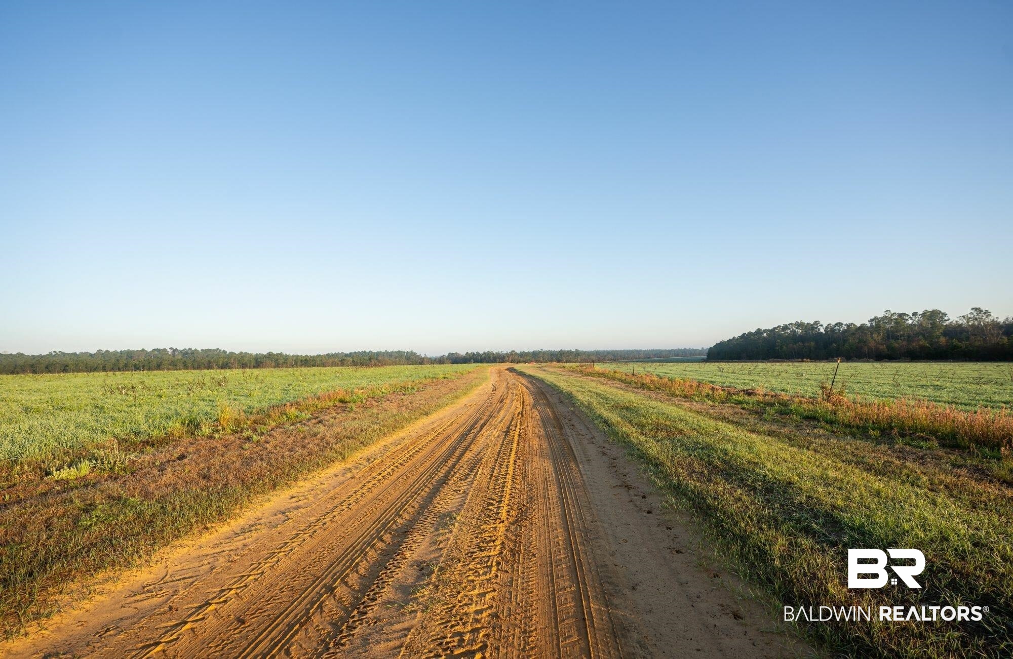 0 County Road 91 Elberta, AL 36530 - Photo 10 of 25 View of dirt / gravel road featuring a rural view